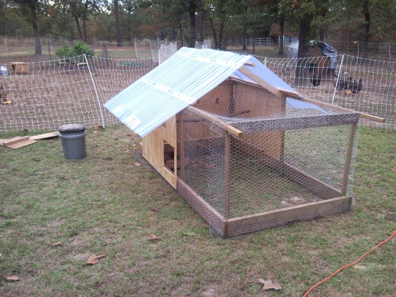 th_coop_build_38.jpg