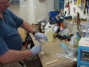Filename=P4022062.JPG
Filesize=494KiB
Dimensions=2048x1536
Date added=Oct 19, 2011 P4022062.JPG