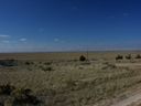 Filename=sept_06_pawnee_grasslands_013.jpg
Filesize=114KiB
Dimensions=1024x768
Date added=Oct 19, 2011 sept_06_pawnee_grasslands_013.jpg