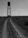 Filename=sept_06_pawnee_grasslands_021.jpg
Filesize=69KiB
Dimensions=576x768
Date added=Oct 19, 2011 sept_06_pawnee_grasslands_021.jpg