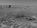 Filename=sept_06_pawnee_grasslands_036.jpg
Filesize=184KiB
Dimensions=1024x768
Date added=Oct 19, 2011 sept_06_pawnee_grasslands_036.jpg