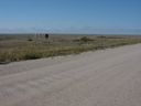Filename=sept_06_pawnee_grasslands_050.jpg
Filesize=136KiB
Dimensions=1024x768
Date added=Oct 19, 2011 sept_06_pawnee_grasslands_050.jpg