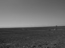 Filename=sept_06_pawnee_grasslands_060.jpg
Filesize=93KiB
Dimensions=1024x768
Date added=Oct 19, 2011 sept_06_pawnee_grasslands_060.jpg