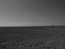 Filename=sept_06_pawnee_grasslands_061.jpg
Filesize=93KiB
Dimensions=1024x768
Date added=Oct 19, 2011 sept_06_pawnee_grasslands_061.jpg