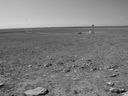 Filename=sept_06_pawnee_grasslands_063.jpg
Filesize=192KiB
Dimensions=1024x768
Date added=Oct 19, 2011 sept_06_pawnee_grasslands_063.jpg