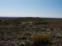 Filename=sept_06_pawnee_grasslands_087.jpg
Filesize=181KiB
Dimensions=1024x768
Date added=Oct 19, 2011 sept_06_pawnee_grasslands_087.jpg