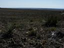 Filename=sept_06_pawnee_grasslands_088.jpg
Filesize=209KiB
Dimensions=1024x768
Date added=Oct 19, 2011 sept_06_pawnee_grasslands_088.jpg