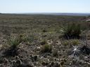 Filename=sept_06_pawnee_grasslands_089.jpg
Filesize=260KiB
Dimensions=1024x768
Date added=Oct 19, 2011 sept_06_pawnee_grasslands_089.jpg