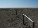 Filename=sept_06_pawnee_grasslands_093.jpg
Filesize=172KiB
Dimensions=1024x768
Date added=Oct 19, 2011 sept_06_pawnee_grasslands_093.jpg