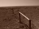 Filename=sept_06_pawnee_grasslands_094.jpg
Filesize=180KiB
Dimensions=1024x768
Date added=Oct 19, 2011 sept_06_pawnee_grasslands_094.jpg