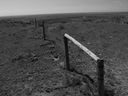 Filename=sept_06_pawnee_grasslands_097.jpg
Filesize=207KiB
Dimensions=1024x768
Date added=Oct 19, 2011 sept_06_pawnee_grasslands_097.jpg
