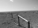 Filename=sept_06_pawnee_grasslands_098.jpg
Filesize=180KiB
Dimensions=1024x768
Date added=Oct 19, 2011 sept_06_pawnee_grasslands_098.jpg
