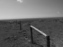 Filename=sept_06_pawnee_grasslands_099.jpg
Filesize=162KiB
Dimensions=1024x768
Date added=Oct 19, 2011 sept_06_pawnee_grasslands_099.jpg