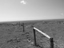 Filename=sept_06_pawnee_grasslands_100.jpg
Filesize=170KiB
Dimensions=1024x768
Date added=Oct 19, 2011 sept_06_pawnee_grasslands_100.jpg