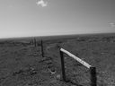 Filename=sept_06_pawnee_grasslands_101.jpg
Filesize=154KiB
Dimensions=1024x768
Date added=Oct 19, 2011 sept_06_pawnee_grasslands_101.jpg