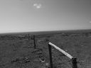Filename=sept_06_pawnee_grasslands_104.jpg
Filesize=140KiB
Dimensions=1024x768
Date added=Oct 19, 2011 sept_06_pawnee_grasslands_104.jpg