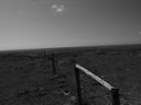 Filename=sept_06_pawnee_grasslands_105.jpg
Filesize=111KiB
Dimensions=1024x768
Date added=Oct 19, 2011 sept_06_pawnee_grasslands_105.jpg