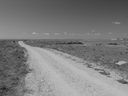 Filename=sept_06_pawnee_grasslands_110.jpg
Filesize=179KiB
Dimensions=1024x768
Date added=Oct 19, 2011 sept_06_pawnee_grasslands_110.jpg