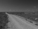 Filename=sept_06_pawnee_grasslands_111.jpg
Filesize=168KiB
Dimensions=1024x768
Date added=Oct 19, 2011 sept_06_pawnee_grasslands_111.jpg