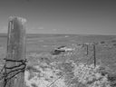 Filename=sept_06_pawnee_grasslands_112.jpg
Filesize=183KiB
Dimensions=1024x768
Date added=Oct 19, 2011 sept_06_pawnee_grasslands_112.jpg