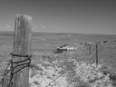 Filename=sept_06_pawnee_grasslands_113.jpg
Filesize=180KiB
Dimensions=1024x768
Date added=Oct 19, 2011 sept_06_pawnee_grasslands_113.jpg