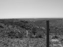 Filename=sept_06_pawnee_grasslands_114.jpg
Filesize=184KiB
Dimensions=1024x768
Date added=Oct 19, 2011 sept_06_pawnee_grasslands_114.jpg