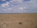 Filename=th_1pawnee_grasslands_aug_06_001.jpg
Filesize=175KiB
Dimensions=800x600
Date added=Oct 19, 2011 th_1pawnee_grasslands_aug_06_001.jpg