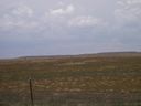 Filename=th_1pawnee_grasslands_aug_06_009.jpg
Filesize=111KiB
Dimensions=800x600
Date added=Oct 19, 2011 th_1pawnee_grasslands_aug_06_009.jpg