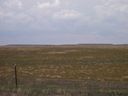 Filename=th_1pawnee_grasslands_aug_06_011.jpg
Filesize=122KiB
Dimensions=800x600
Date added=Oct 19, 2011 th_1pawnee_grasslands_aug_06_011.jpg