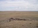 Filename=th_1pawnee_grasslands_aug_06_015.jpg
Filesize=163KiB
Dimensions=800x600
Date added=Oct 19, 2011 th_1pawnee_grasslands_aug_06_015.jpg