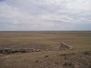 Filename=th_1pawnee_grasslands_aug_06_016.jpg
Filesize=145KiB
Dimensions=800x600
Date added=Oct 19, 2011 th_1pawnee_grasslands_aug_06_016.jpg