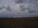 Filename=th_1pawnee_grasslands_aug_06_017.jpg
Filesize=106KiB
Dimensions=800x600
Date added=Oct 19, 2011 th_1pawnee_grasslands_aug_06_017.jpg