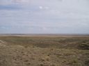 Filename=th_1pawnee_grasslands_aug_06_021.jpg
Filesize=144KiB
Dimensions=800x600
Date added=Oct 19, 2011 th_1pawnee_grasslands_aug_06_021.jpg