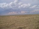 Filename=th_1pawnee_grasslands_aug_06_022.jpg
Filesize=175KiB
Dimensions=800x600
Date added=Oct 19, 2011 th_1pawnee_grasslands_aug_06_022.jpg