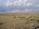 Filename=th_1pawnee_grasslands_aug_06_023.jpg
Filesize=188KiB
Dimensions=800x600
Date added=Oct 19, 2011 th_1pawnee_grasslands_aug_06_023.jpg