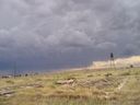 Filename=th_1pawnee_grasslands_aug_06_027.jpg
Filesize=144KiB
Dimensions=800x600
Date added=Oct 19, 2011 th_1pawnee_grasslands_aug_06_027.jpg