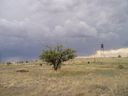 Filename=th_1pawnee_grasslands_aug_06_032.jpg
Filesize=156KiB
Dimensions=800x600
Date added=Oct 19, 2011 th_1pawnee_grasslands_aug_06_032.jpg